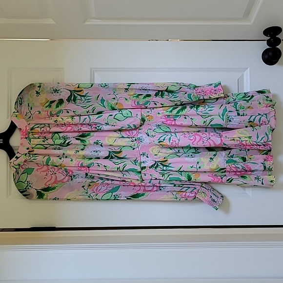 Lilly Pulitzer Ellielynn Long Sleeve Dress - Picture 3 of 12